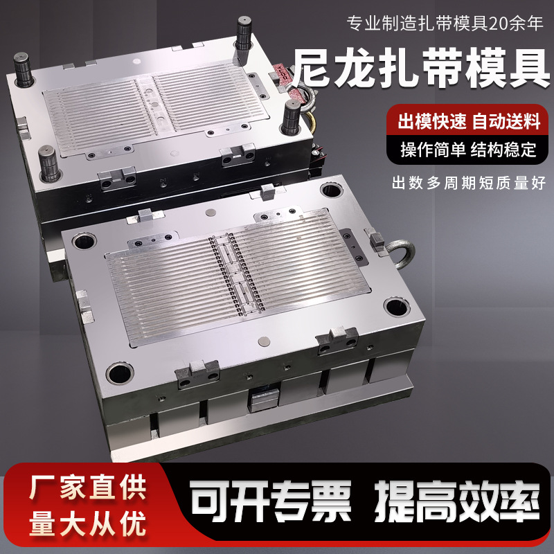 博锐模具厂家专业生产尼龙扎带模具汽车扎带模具半固定式线卡模具