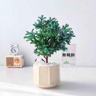 �{���������{ɫ�����ߠ��������҃�����ȩ���B�{ɫ��~�ͺ�ֲ��