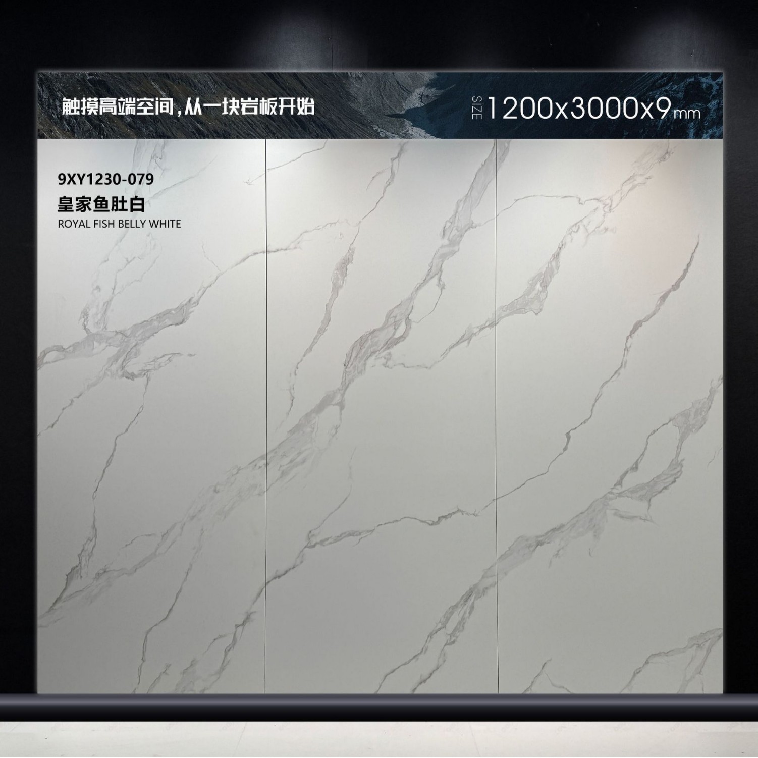 로얄 피쉬 벨리 화이트