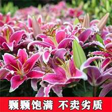 �M����ˮ�ٺϻ��N��ѿ�ļ������҃��̨�ͺ��N�Ӷ��^�ٺϷN��