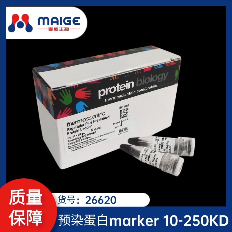 26620 预染蛋白marker （10-250KD）赛默飞
