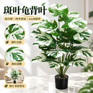 跨境仿真绿植白锦龟背叶家居装饰盆景户外客厅造景北欧植物假盆栽