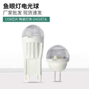 LED����Ŀ���� �¿�G4늹��� 220V����COB-3W�۹�͸�R�~�۟�