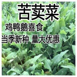 �߮a���{�˷N���B�Z���ݲ����~�i�u���Z����˿����˿��I�˿��u��