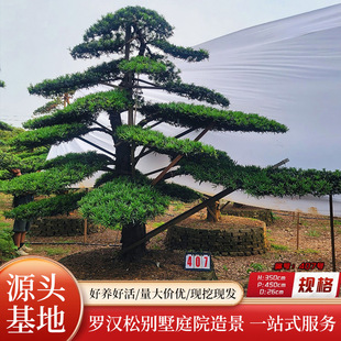 �_�h��ͥԺ�@�ֹ��̾G���������Ԅe���쾰���е����L������������