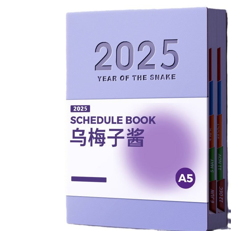 (2개) 2025 스케줄장 일일시간관리 효율노트패드 A5 자기계발 펀치카드 계획장 두꺼운노트