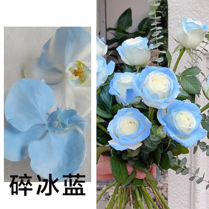 Internet celebridad ciruela negro rosa púrpura flores autopintadas agente de pulverización de color tinte floral spray colorante