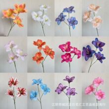 ��Y���滨������피t���^С�ٺ��Ɍ�С�����Ļ��@���T��Y3�^��