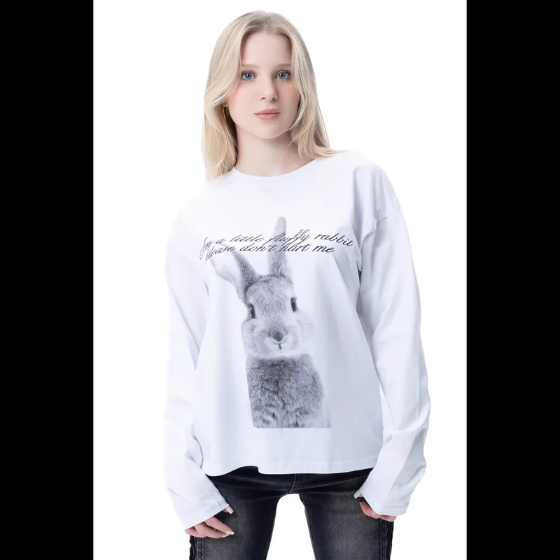 Skims Round Neck Pullover Printed Long-Sleeved T-Shirt Women's Autumn Cotton Top 2025 New Loose Inner Layering Shirt Y2K Skims Round Neck Pullover Printed Long-Sleeved T-Shirt Women's Autumn Cotton Top 2025 New Loose Inner Layering Shirt Y2K