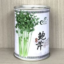 鲍芹种子中国本芹实心芹菜种籽无渣无丝芹菜种籽香味浓郁高产抗病