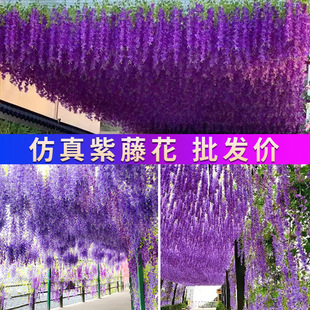 �����쾰���^ֲ�����ټٻ��ٗl�҃���b��l���������@���c