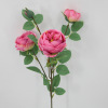 Simulation Aos rose single -piece 3 flowers 1 stamen feel rose peony flower wedding simulation flower fake flower wholesale