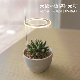Angel ring plant growth lamp LED indoor household succulent plant coloring imitation sunlight full spectrum USB