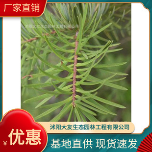 �������l �Ԯa���N����ɼ�� ���^�쾰��·�@�ֹ��̾G����