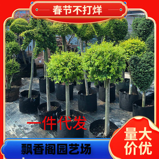 һ�����l����Ϟ����~Ůؑ����Ůؑ�����ǘ���e��ͥԺ���͘�����