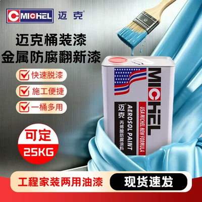 Mike's Hand Spray Paint for Car Body, Metal Furniture, Anti-Rust, Car Color Change, Custom Spray Paint, Repair Paint