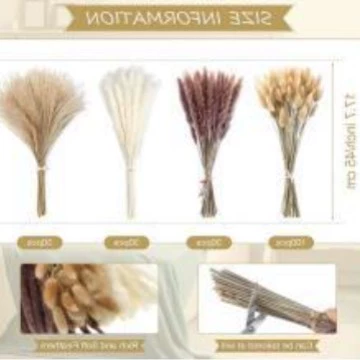 Organic set, wholesale, high-quality style