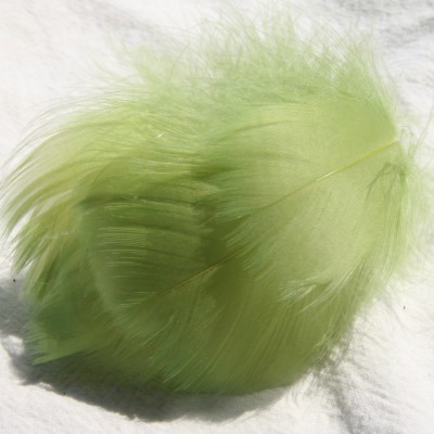 카키 (100 루트 배치)