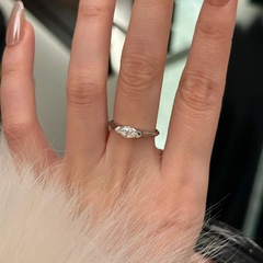 Ins-style temperament mule eye zirconia ring, niche design, high-end sense, unique index finger ring, cool and detached style, light luxury finger ring