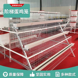 阶梯蛋鸡笼养殖场笼鸡笼子阶梯式蛋鸡笼养鸡设备养殖鸡笼全套