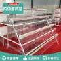 养鸡养殖全套阶梯蛋鸡笼