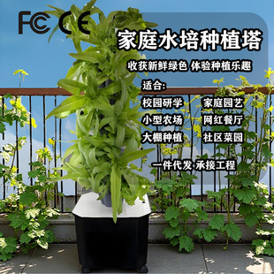 ��ֱˮ������ͥ�����߲˷Nֲ�C�o������ɳ�����˷Nֲ����������