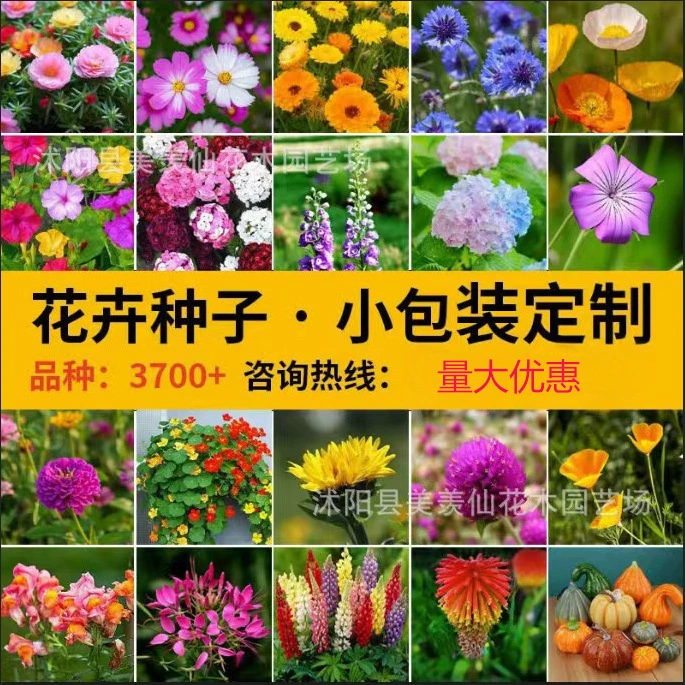 Домашние семенные комбинации небольших упаковок