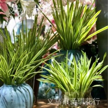 ���滨ܛ�z�ָН��m���~���m�~�����m�~�m��������廨���Ի���