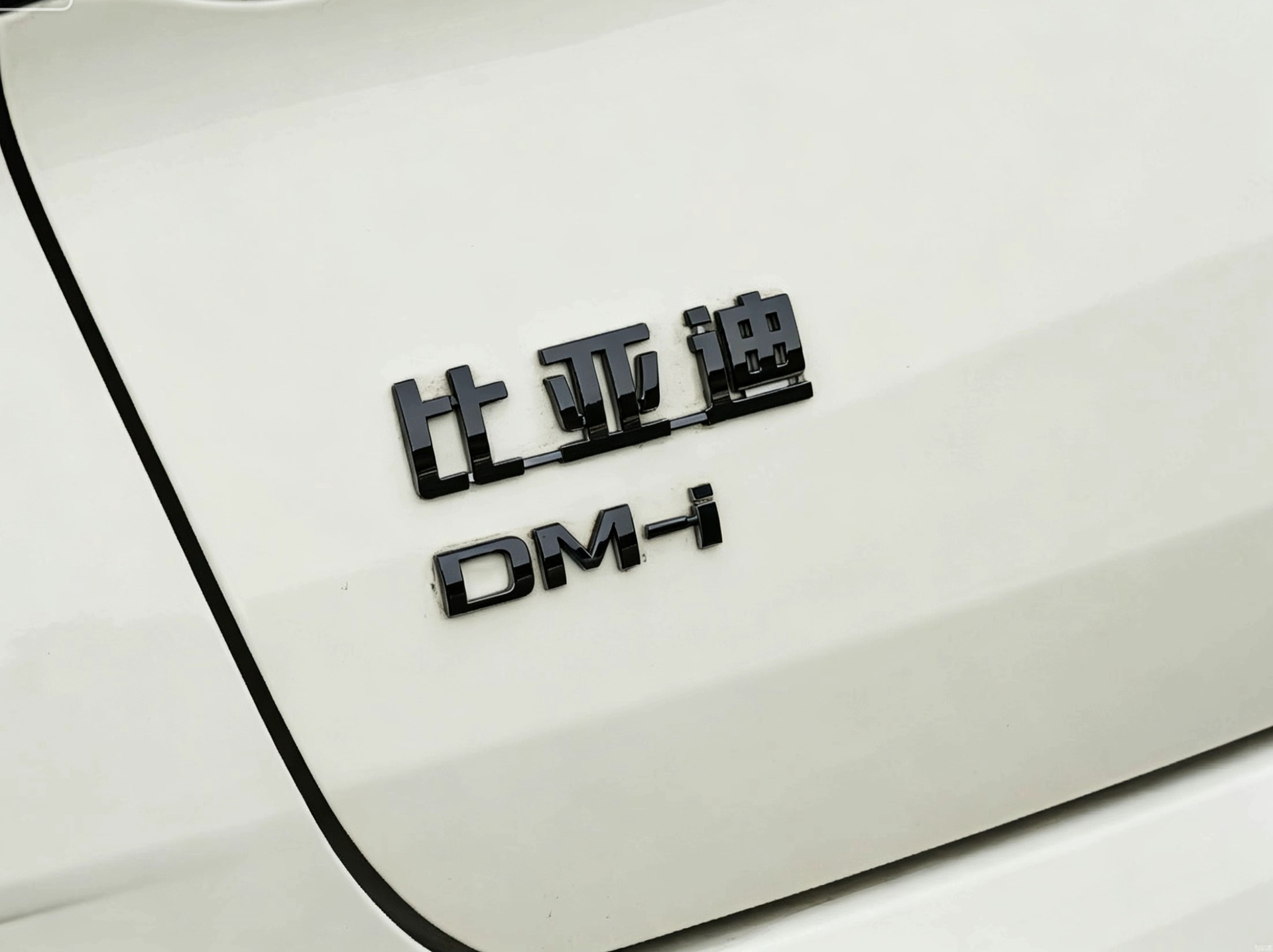 Byd Seal 6/6Gt Blackened Front Emblem, No Disassembly Required, Glossy Black Car Logo Modification, Black Warrior Emblem, No Disassembly Installation Needed