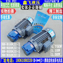 BB-B16NJZ-1 B20NJZ B25NJZ B32NJZ内轴式摆线齿轮油泵电机组装置