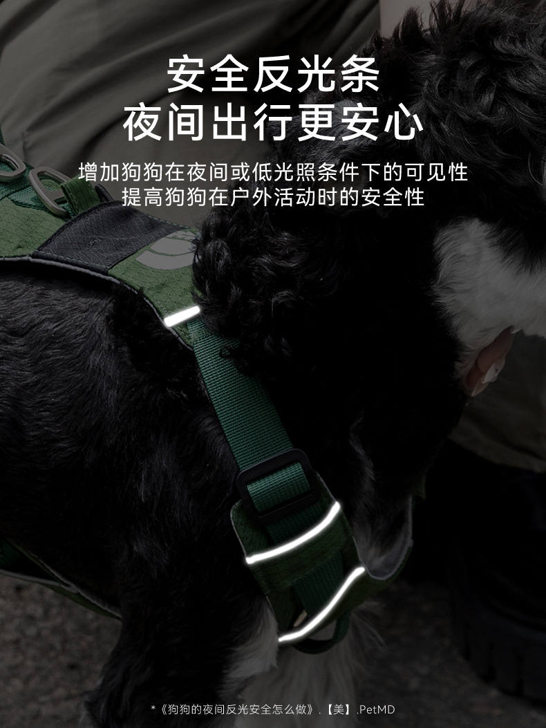 O1CN01s7bYAo1QS8tKoOz8a_!!2206811161974-0-cib.jpg