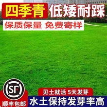 ��ƺ�����ļ������o�¾G���ݷN�ӵ�̺�ݺ����ݹ�����ͥԺ�����N��