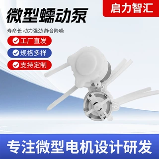 美容医疗仪微型泵增压泵往复式310蠕动泵直流皂液器抽水泵定制