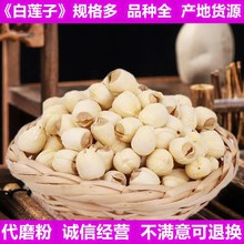 去芯白莲子新货不熏染农产品批发道地原料无芯莲子代磨粉红优质