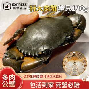 C������з���\ �ϼ�����з�r�� ���зҰ��1ֻ130g��������з