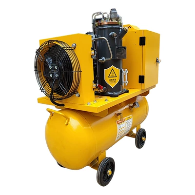 220V Mobile Permanent Magnet Hava kompressorları