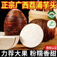 �V���������r�����^�������^�������^����F��ë���^���]����