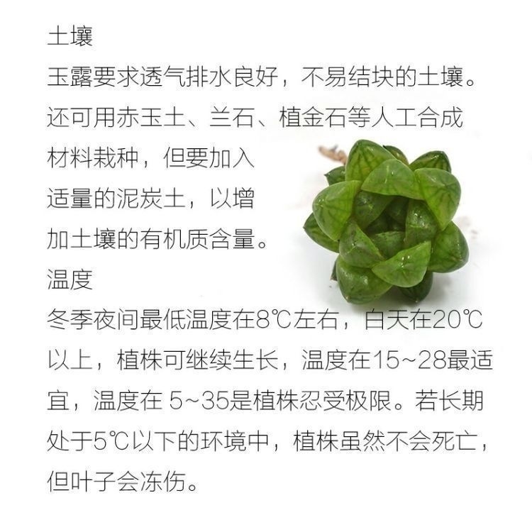 1d2dde34-dc47-44c0-8511-49d8a068e1a0.jpe