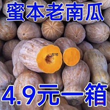 红土新鲜云南蜜本老南瓜农家自种宝宝辅食软糯面甜品种