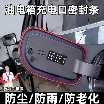 March, Livina, B-pillar sealing strip, Vehicle Sealing Strip - oil-and-electric-tank-cover-sealing-strip-single-piece-customized-for-sylphy