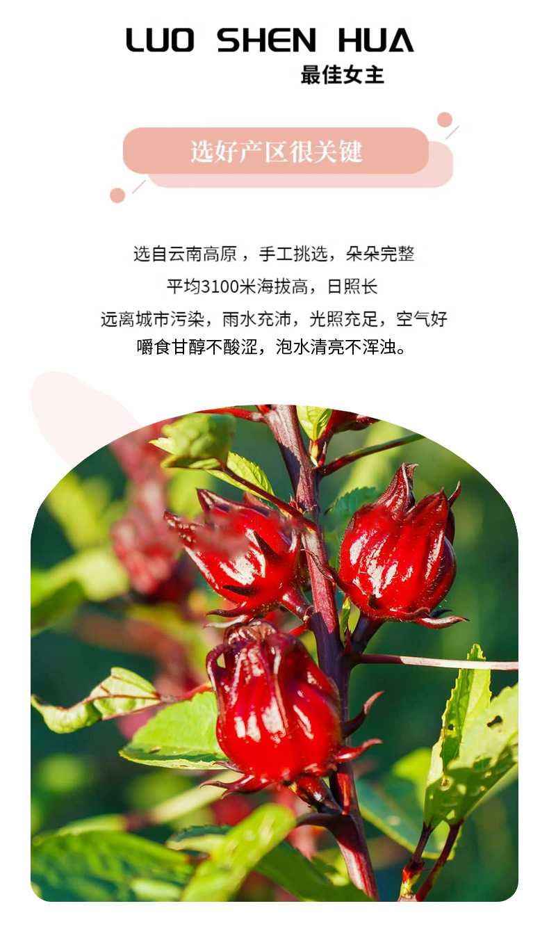Dried Roselle Hibiscus Flowers Luo Shen Hua Whole Grade A Herbal Tea 50g key features