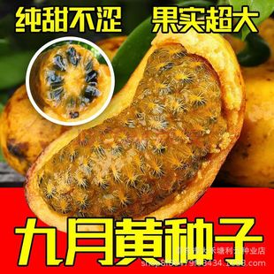 ���ھ����S�N���SƤˮ������ը�N��ľ�|�p�@�ٺ�Ҋˮ���ϴ���Nֲ