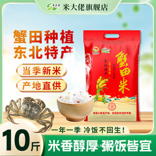 �|��з����10�ﮔ������2025�|�����׈A��������5������طNֲ