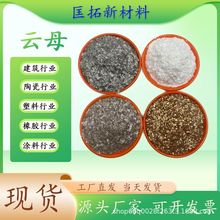 云母 云母粉 涂料塑料添加用密封胶条云母粉 合成云母 金云母
