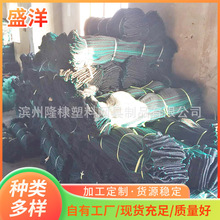 �O�I�þߏS�Ҷ� ��  С���r�з�������q�Bֳ�O�W  �F؛