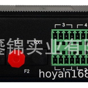 Rs485 Optical Transceiver Ring Network Type Fl631Fl632Fl634 Chain Type Star Type Ring Type Self-Healing Rs232/422