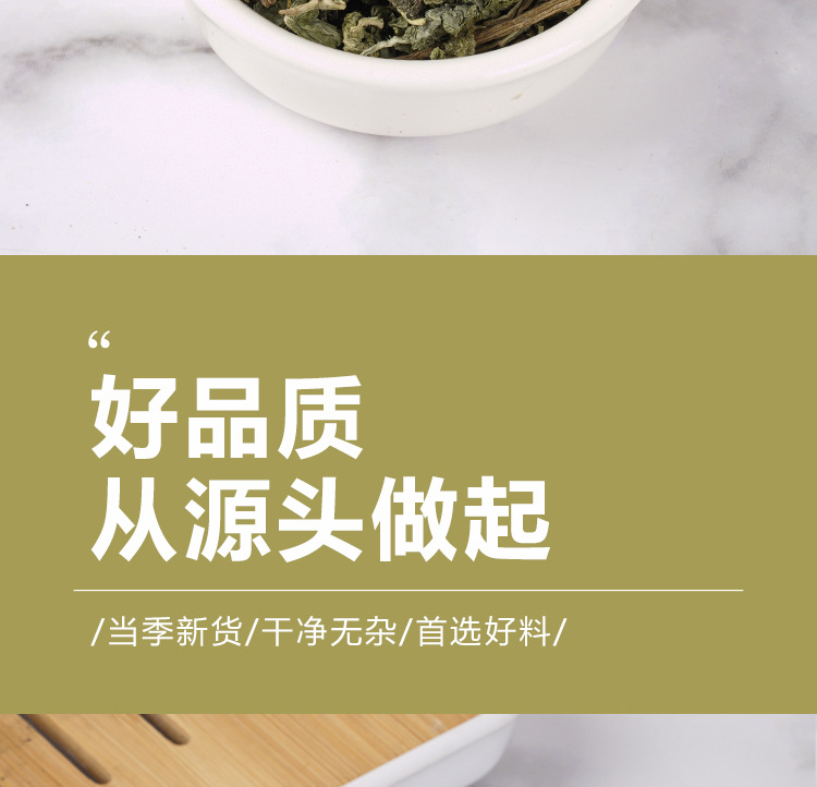 Mint Leaf Tea (Mentha haplocalyx) — Dried Mint Herbal Tea, 75g Jar for Cold Brew & Fresh Infusions in use