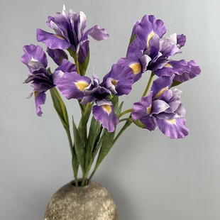 �ָб�������z �� �Sβ�� ���滨Ʒ�|؛Դ�۠��m ���lܛ�b����