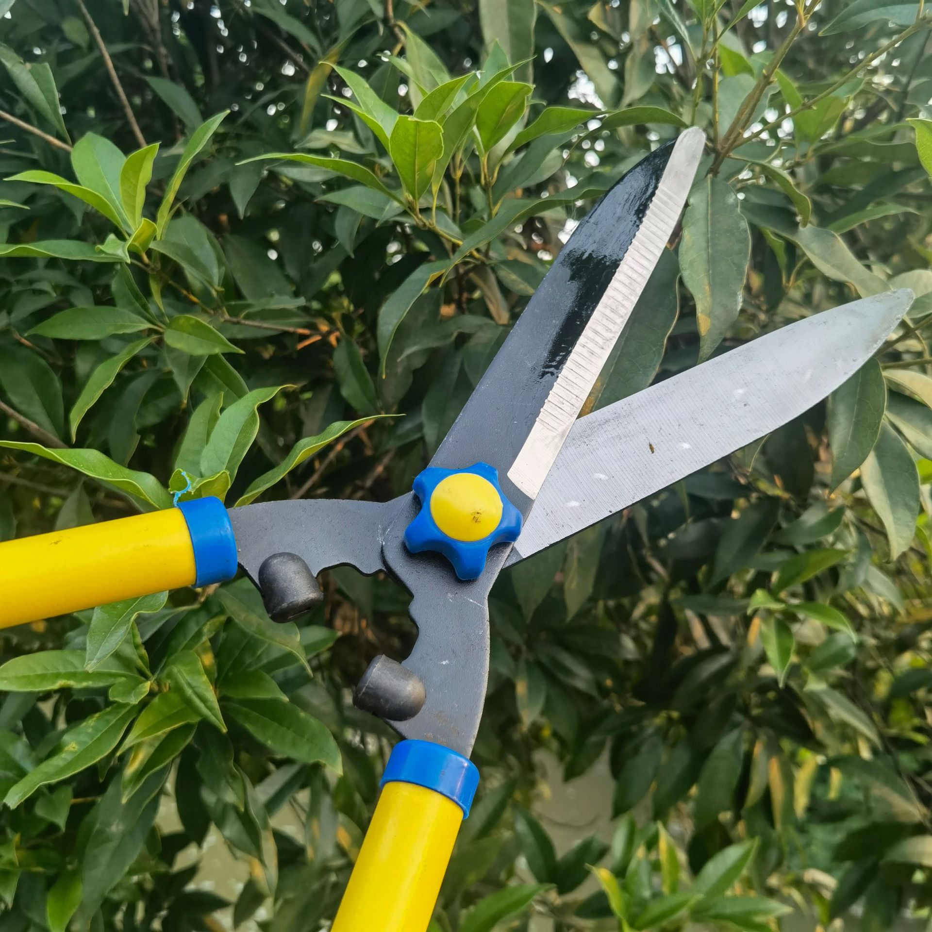 现货园林篱笆剪园艺修剪草坪修剪树枝剪