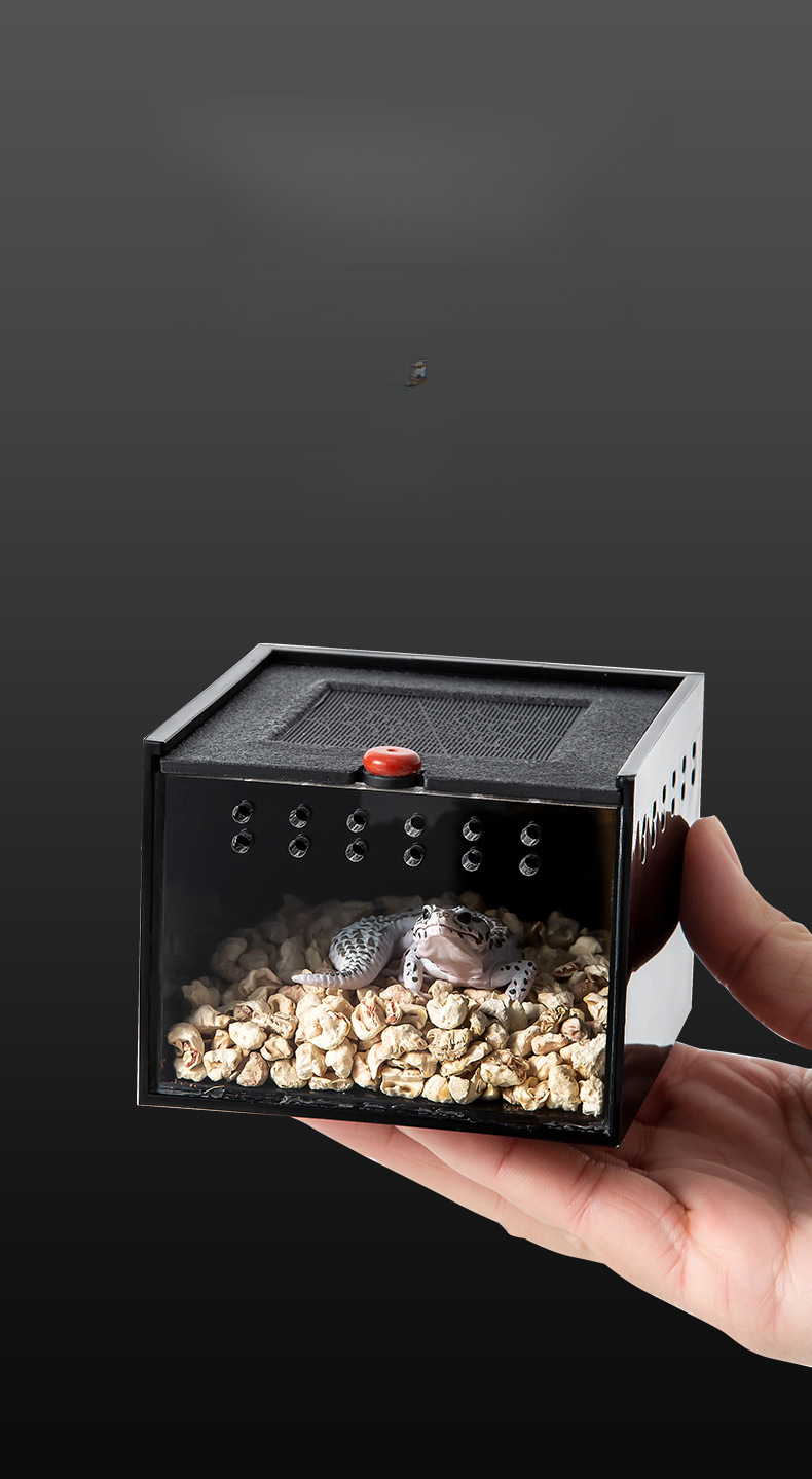 Reptile Habitat Box 6